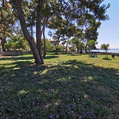 Nina Deluxe Superior 5 Star Apartment, Your Piece Of Heaven By The Sea & Park Новиград Экстерьер фото